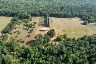 22347 5 Mile Rd, Morley, MI 49336 - Photo 77