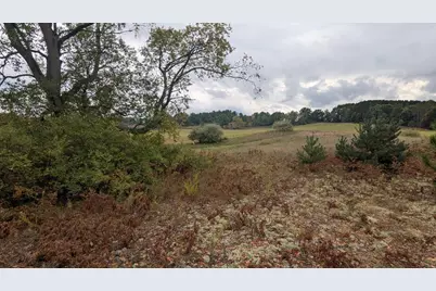 00 E 14 Mile Road #Parcel C, Paris, MI 49338 - Photo 13