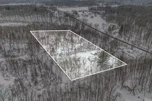 182 40th St, Allegan, MI 49010 - Photo 31