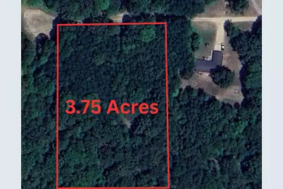 3.75 Acres Wayne Road, Pentwater, MI 49449 - Photo 5