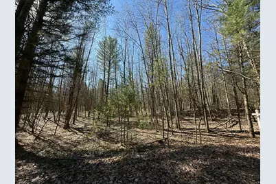 3.75 Acres Wayne Road, Pentwater, MI 49449 - Photo 11