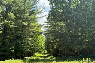 3 75 Acres Wayne Rd, Pentwater, MI 49449 - Photo 1