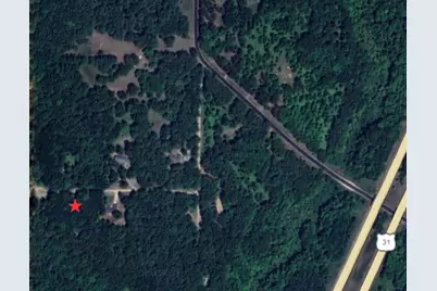 3.75 Acres Wayne Road, Pentwater, MI 49449 - Photo 9