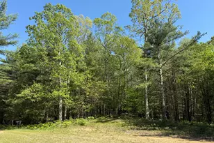 3 75 Acres Wayne Rd, Pentwater, MI 49449 - Photo 1