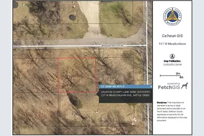 117 W Meadowlawn Avenue, Battle Creek, MI 49037 - Photo 1