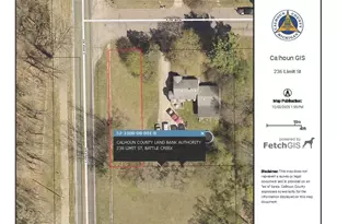 236 Limit St, Battle Creek, MI 49037 - Photo 1