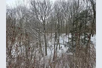 14th Avenue #Parcel A, South Haven, MI 49090 - Photo 15