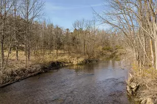 12815 Wilbur Rd, Clinton, MI 49236 - Photo 47