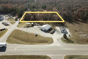 0 V/L N Maple Hill, Howard City, MI 49329 - Photo 1