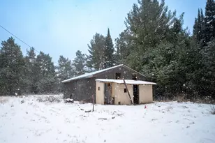 1570 Ryno Rd, Big Creek, MI 48636 - Photo 9