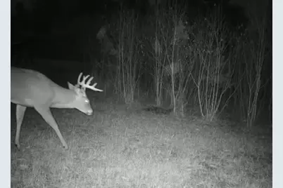 1570 Ryno Road, Big Creek, MI 48636 - Photo 53