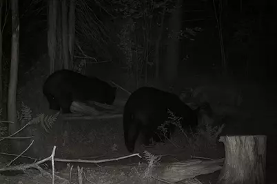 1570 Ryno Road, Big Creek, MI 48636 - Photo 49