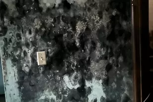 1684 E Sherwood Rd, Williamston, MI 48895 - Photo 17