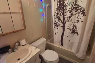 3 Riverview Dr, Saint Louis, MI 48880 - Photo 3