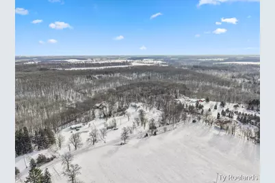 1067 Somers Road, Lyons, MI 48851 - Photo 3