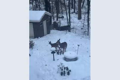 1154 Springwood Drive SE, Grand Rapids, MI 49508 - Photo 39