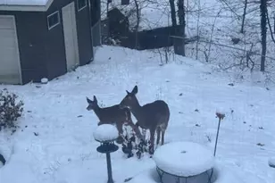 1154 Springwood Dr SE, Grand Rapids, MI 49508 - Photo 39