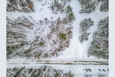 Vl Todd Road, Whitehall, MI 49461 - Photo 7