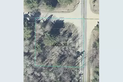 Vl Todd Road, Whitehall, MI 49461 - Photo 5