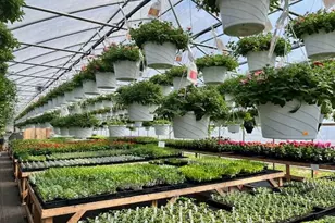 5417 Archer Rd, Brethren, MI 49619 - Photo 21