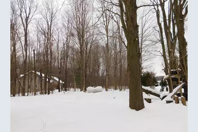 2955 66th Street, Fennville, MI 49408 - Photo 35