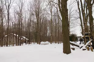 2955 66th St, Fennville, MI 49408 - Photo 35