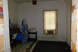 111 E St Marys St, Decatur, MI 49045 - Photo 9