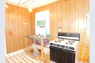 111 E Saint Marys Street, Decatur, MI 49045 - Photo 7