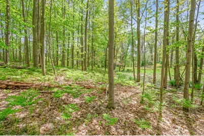 8209 West Royal Rd, Canadian Lakes, MI 49346 - Photo 5