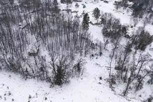 [Address not provided], Canadian Lakes, MI 49346 - Photo 1