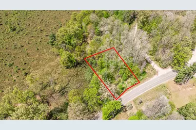 8209 West Royal Rd, Canadian Lakes, MI 49346 - Photo 3