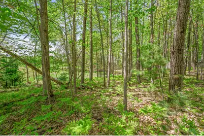 8209 West Royal Rd, Canadian Lakes, MI 49346 - Photo 9