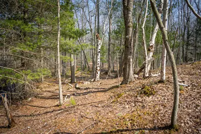 4986 N Ridge Road, Mears, MI 49436 - Photo 31