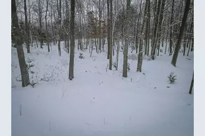 4986 N Ridge Road, Mears, MI 49436 - Photo 23