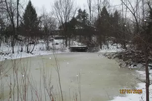 9500 Gilbert Rd, Pittsford, MI 49271 - Photo 51