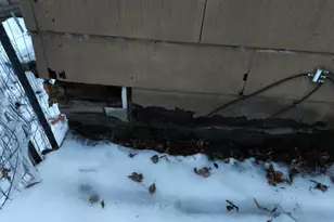 2064 Coloma Rd, Benton Harbor, MI 49022 - Photo 21