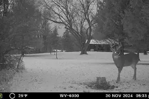 1836 Platt St, Niles, MI 49120 - Photo 33