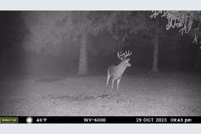 1836 Platt Street, Niles, MI 49120 - Photo 37