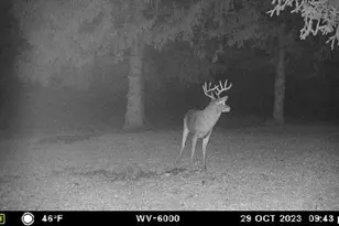 1836 Platt St, Niles, MI 49120 - Photo 37