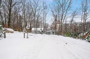 10370 Schwyz Dr, Reed City, MI 49677 - Photo 5