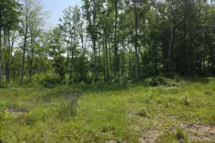 9421 Sassafras Trail, Portage, MI 49002 - Photo 3