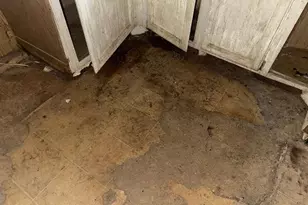 4156 Echo Rd, Benton Harbor, MI 49022 - Photo 29