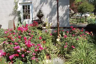 289 Lyon Lake Rd, Marshall, MI 49068 - Photo 63