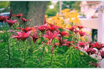 289 Lyon Lake Road, Marshall, MI 49068 - Photo 65