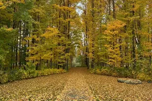 5517 Stanton Woods Dr, Hudsonville, MI 49426 - Photo 47