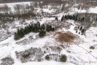 11670 Jessup Road, Muir, MI 48860 - Photo 3