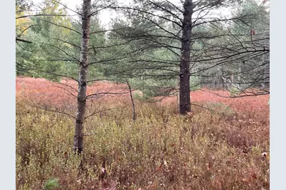 V/L Forest Service 8433/Pomeroy Sp, Irons, MI 49644 - Photo 7