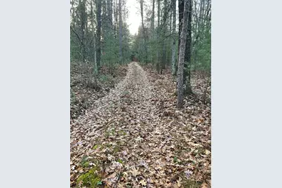 V/L Forest Service 8433/Pomeroy Sp, Irons, MI 49644 - Photo 17