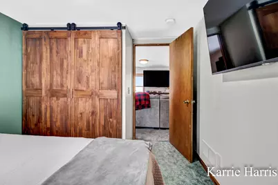 911 E Pearl Street, Greenville, MI 48838 - Photo 9