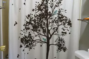 1137 Jonesville Rd, Quincy, MI 49082 - Photo 13